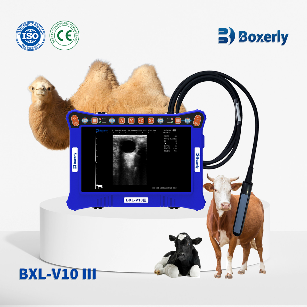 Cheaper BXL-V10Ⅲ Vet B-Ultrasound Diagnostic Device | Animal Pregnancy Backfat Detect | Multiple Probe