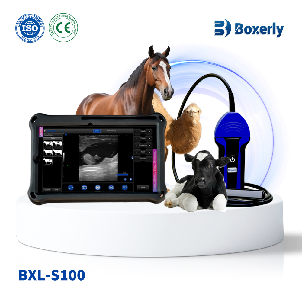 BXL-S100 Cattle Horse Donkey Vet Ultrasound Rectal Probe IPX7 Waterproof B&M