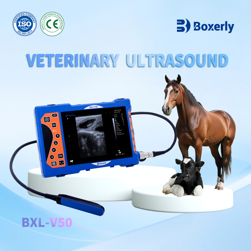 BXL-V50 Veterinary B-Ultrasound Scanner | Pregnancy Backfat Detect | Full-Function | HD Display | Hot-Selling