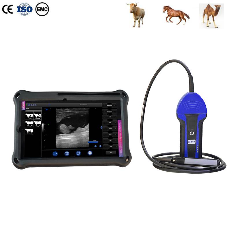 BXL-S100 Cattle Horse Donkey Wireless Vet Ultrasound with Rectal Probe HD Large Screen