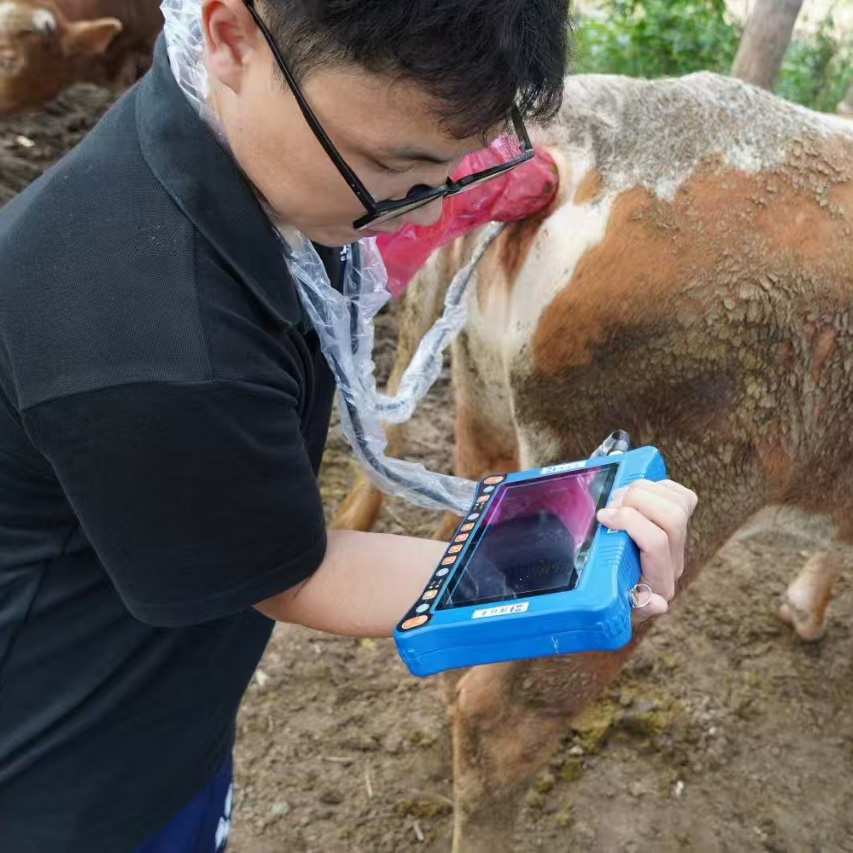 Cow Ultrasound Machine Price: Compare Features, Configurations and Costs