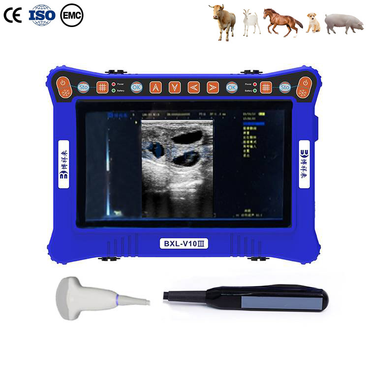 Cheaper BXL-V10Ⅲ Vet B-Ultrasound Diagnostic Device | Animal Pregnancy Backfat Detect | Multiple Probe