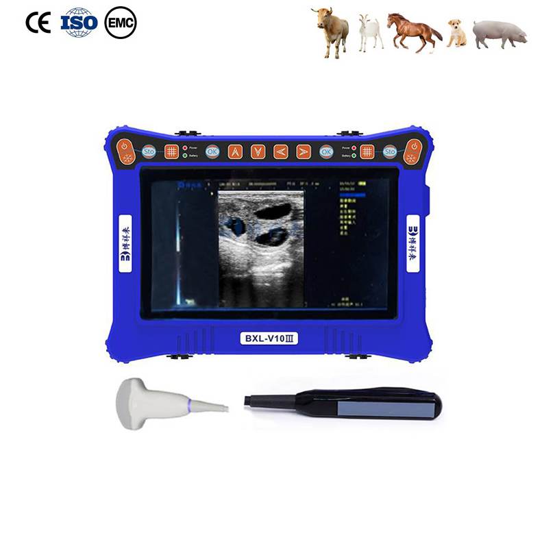 Cheaper BXL-V10Ⅲ Vet B-Ultrasound Diagnostic Device | Animal Pregnancy Backfat Detect | Multiple Probe