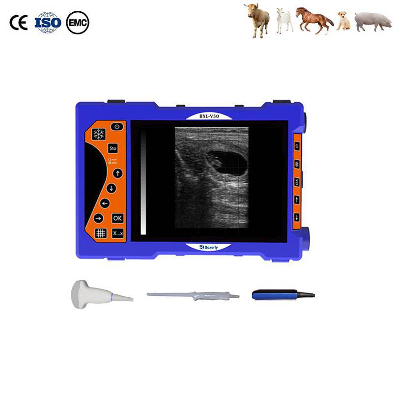 BXL-V50 Veterinary B-Ultrasound Scanner | Pregnancy Backfat Detect | Full-Function | HD Display | Hot-Selling