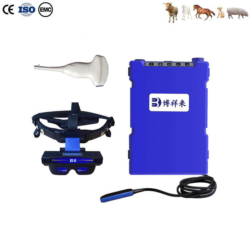 BXL-V60 Veterinary B-Ultrasound | 2D/3D HD Video Glasses | 7 Hours Battery | OLED Screen | Multiple Probe