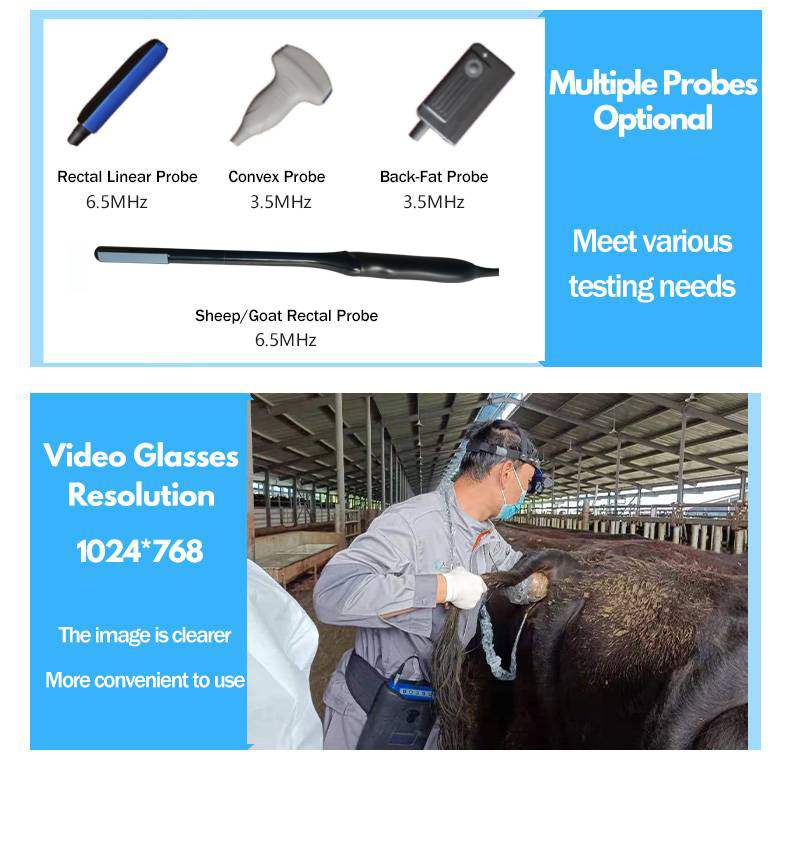 BXL-V60 Veterinary B-Ultrasound | 2D/3D HD Video Glasses | 7 Hours Battery | OLED Screen | Multiple Probe