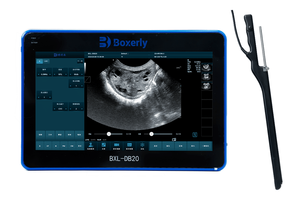 BXL-DB20 Multifunctional high-end veterinary OPU System | IVF equipment