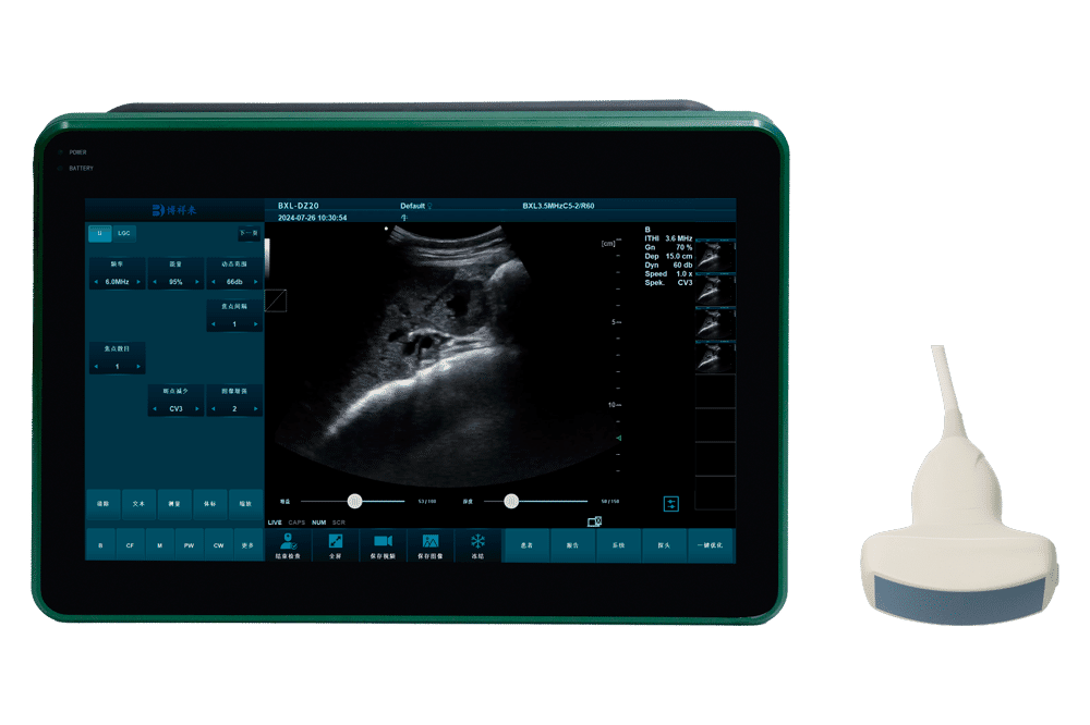 BXL-DZ20 Multifunctional large-screen high-end veterinary color ultrasound | portable trolley