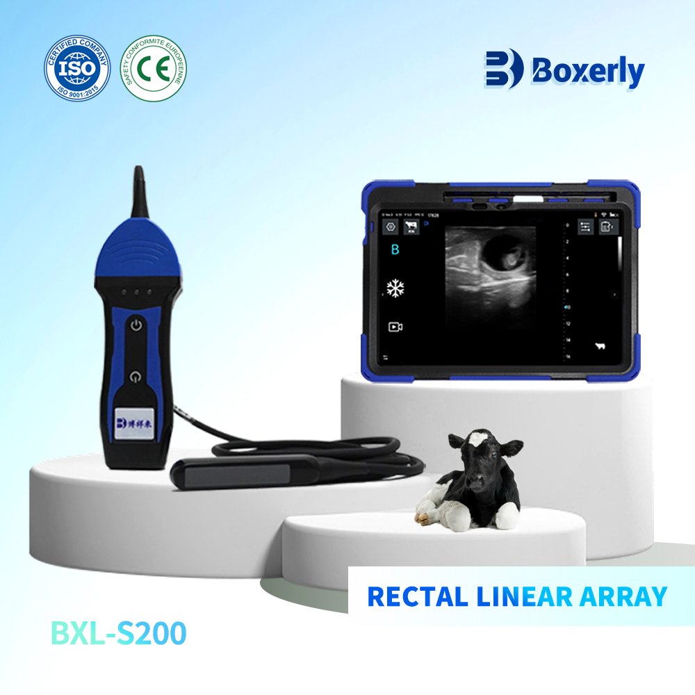 BXL-S200 Wireless Ultrasound Cows Horses Donkeys Rectal Probe HD Imaging Solution