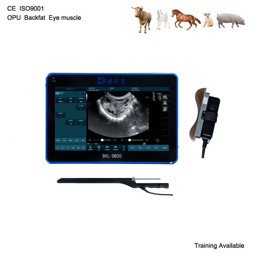 BXL-DB20 Veterinary Oocyte Pick-Up Equipment | OPU Probe | Cattle Cow In Vitro Fertilization Application