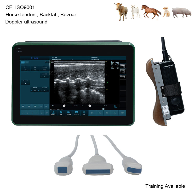 BXL-DZ20 Vet Doppler Ultrasound Scanner | Horse Equine Tendon | 15.6" Screen | Backfat Eye Muscle | Multiple Probes