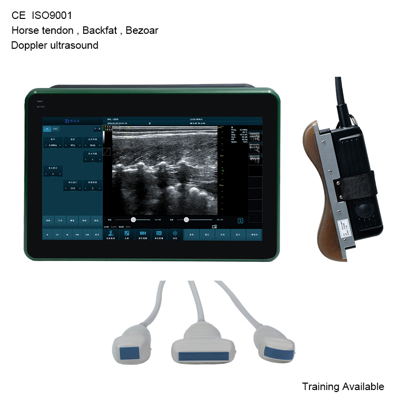 BXL-DZ20 Vet Doppler Ultrasound Scanner | Horse Equine Tendon | 15.6″ Screen | Backfat Eye Muscle | Multiple Probes