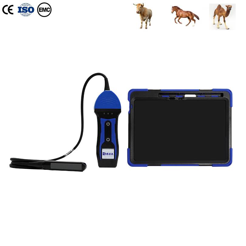 BXL-S200 II Wireless Ultrasound Cows Horses Donkeys Rectal Probe HD Imaging Solution