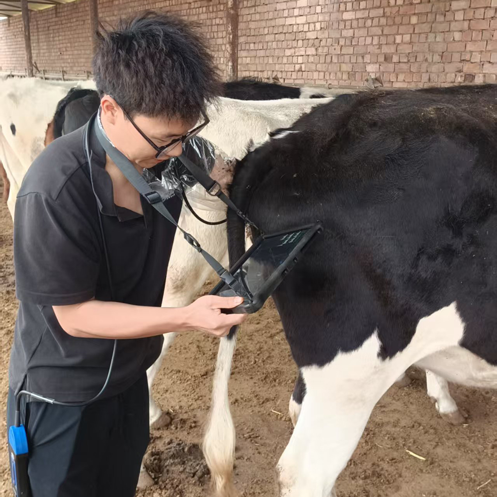 Bovine Ultrasound Machine: A Smarter Solution for Cattle Pregnancy Diagnosis and Reproductive Management