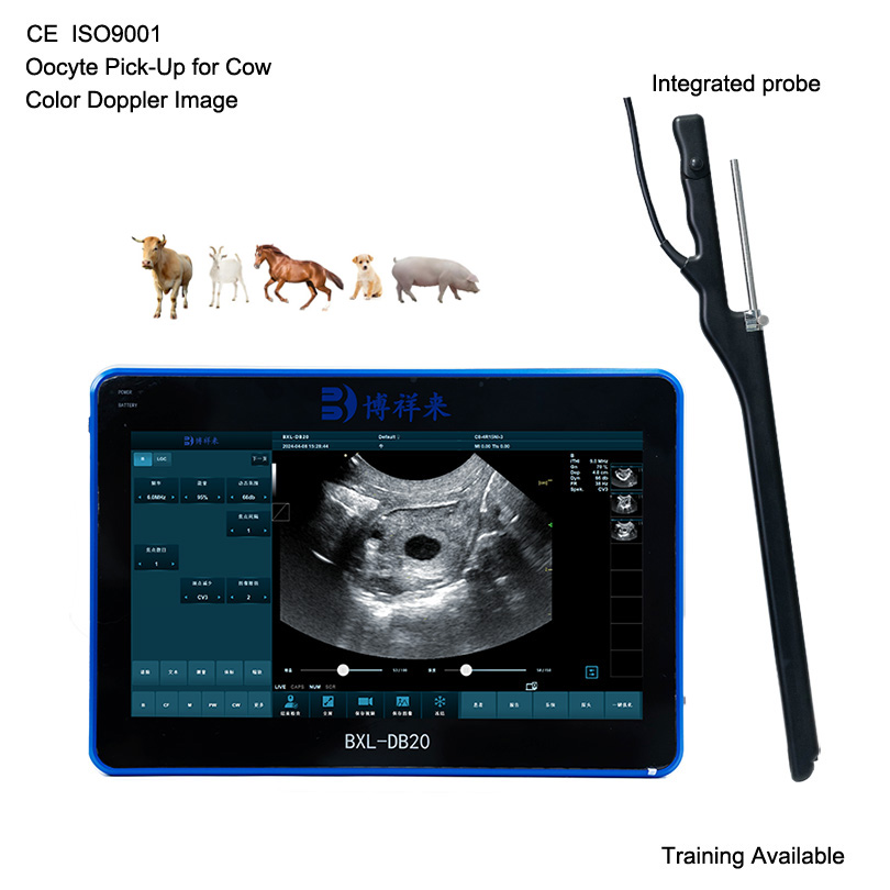 BXL-DB20 Veterinary Oocyte Pick-Up Equipment | OPU Probe | Cattle Cow In Vitro Fertilization Application