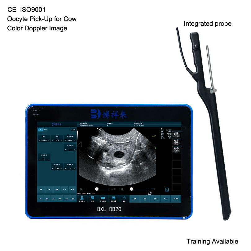 BXL-DB20 Veterinary Oocyte Pick-Up Equipment | OPU Probe | Cattle Cow In Vitro Fertilization Application