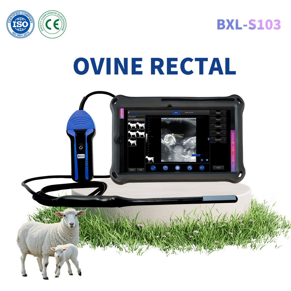 BXL-S103 Wireless Vet B-Ultrasound | Sheep Rectal Probe | Vet B/M Image | IPX7 Scanner with 30 Inspect Mode