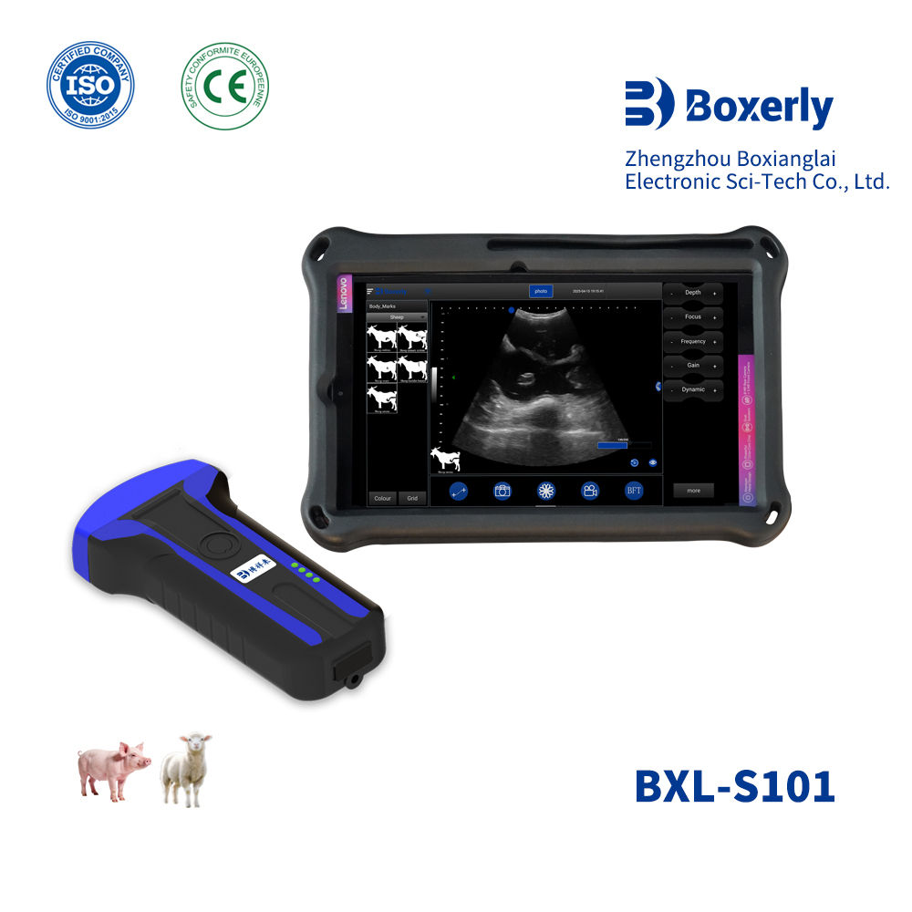 BXL-S101 Wireless Vet B-Ultrasound | B/M HD Image | Abdominal in Vitro Scanner for Pig Sheep | 30 Inspect Mode | Convex Probe
