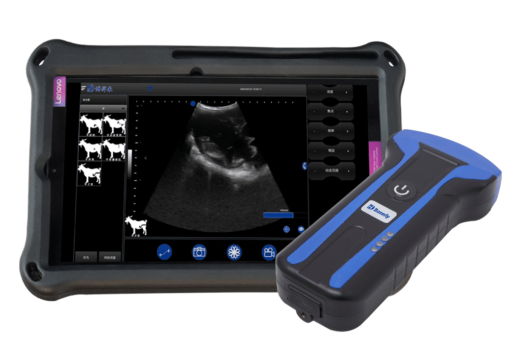 BXL-S101 Basic B/W Abdominal Ultrasound for Pigs & Sheep | Convex Probe Starter Model