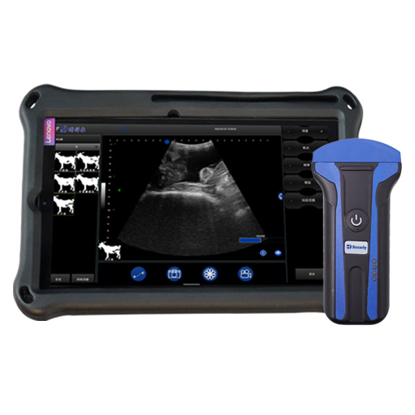 BXL-S101 Basic B/W Abdominal Ultrasound for Pigs & Sheep | Convex Probe Starter Model