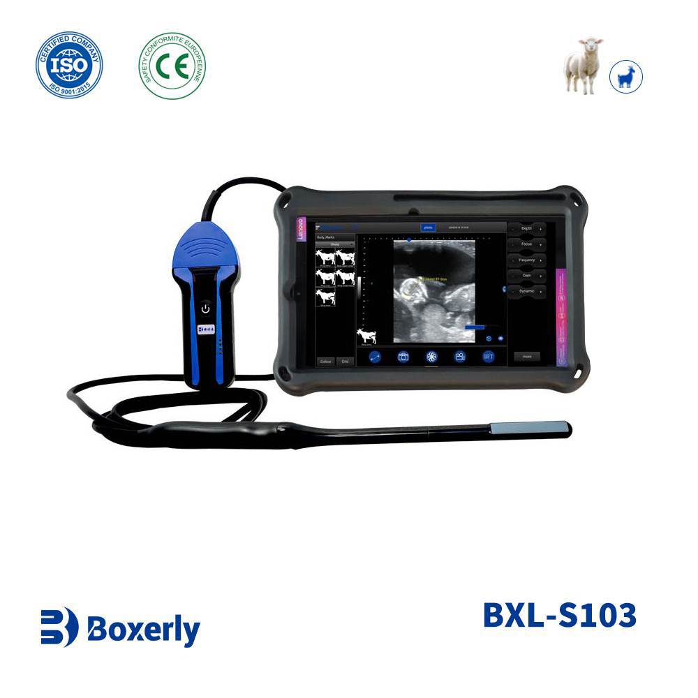 BXL-S103 Wireless Vet B-Ultrasound | Sheep Rectal Probe | Vet B/M Image | IPX7 Scanner with 30 Inspect Mode