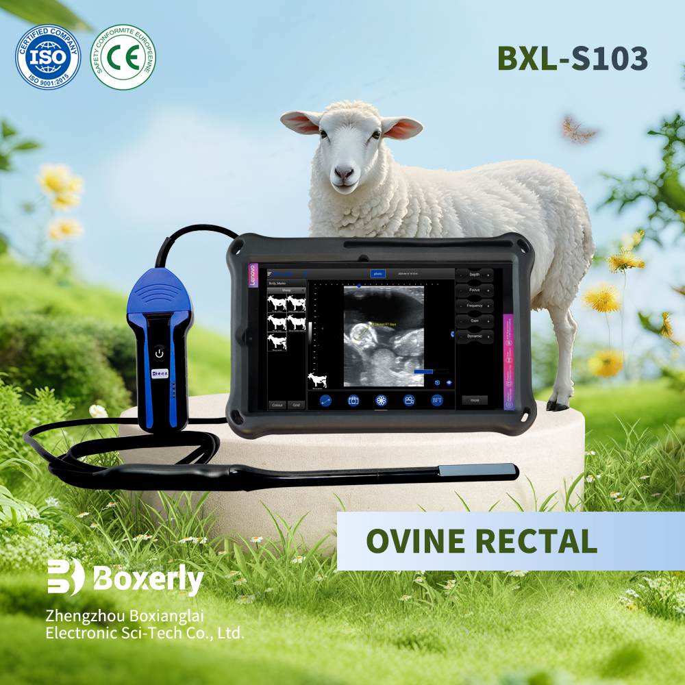 Sheep Scanner Prices: How to Choose the Best Sheep Ultrasound Scanner for Your Farm