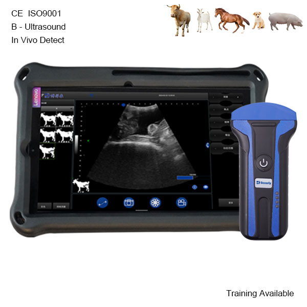 BXL-S101 Wireless Vet B-Ultrasound | B/M HD Image | Abdominal in Vitro Scanner for Pig Sheep | 30 Inspect Mode | Convex Probe