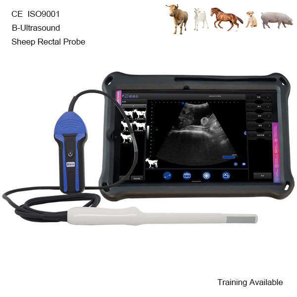BXL-S103 Wireless Vet B-Ultrasound | Sheep Rectal Probe | Vet B/M Image | IPX7 Scanner with 30 Inspect Mode