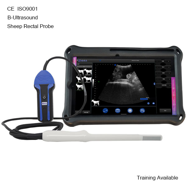 BXL-S103 Sheep Wireless Rectal Ultrasound Scanner IPX7 | Vet B/W Imaging Device