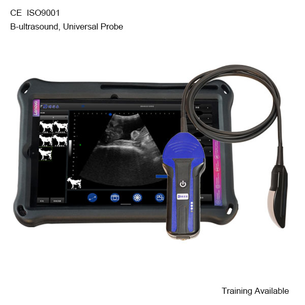 BXL-S104 Wireless Portable B/W Vet Ultrasound Scanner Universal Model