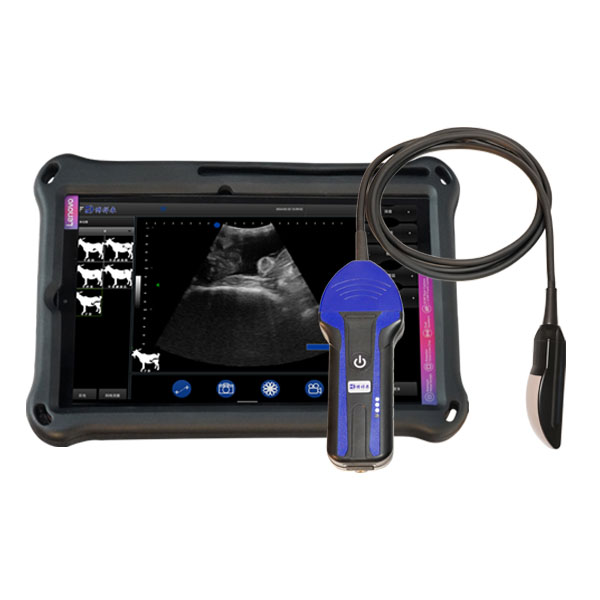 BXL-S104 Wireless Portable B/W Vet Ultrasound Scanner Universal Model