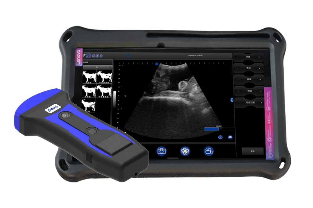 BXL-S201 Pig Sheep Livestock Abdominal Ultrasound Probe | Convex Veterinary Scanner