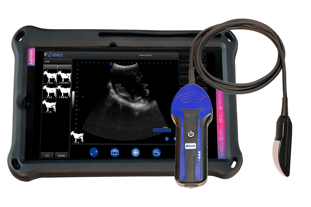 BXL-S104 Wireless Portable B/W Vet Ultrasound Scanner Universal Model