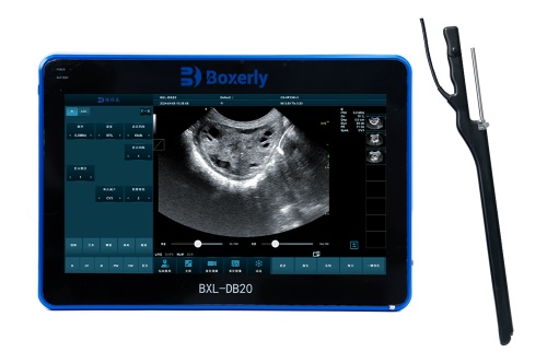 veterinary OPU ultrasound Veterinary Ultrasound Instrument-Boxianglai Veterinary Ultrasound Instrument Price