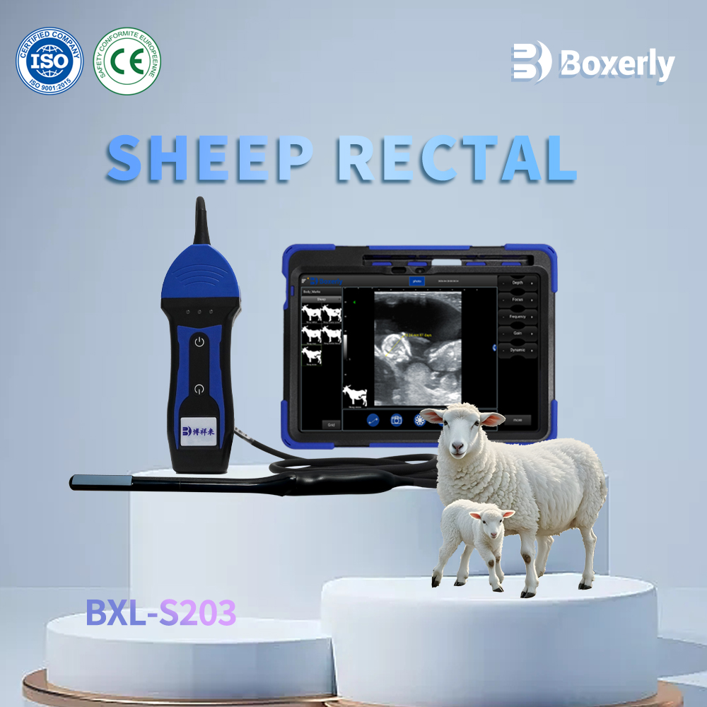 BXL-S203 Wireless Vet Doppler Ultrasound | Sheep Rectal Probe | HD Imaging IP67 | Built-in Functions