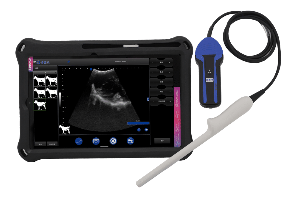 BXL-S103 Sheep Wireless Rectal Ultrasound Scanner IPX7 | Vet B/W Imaging Device