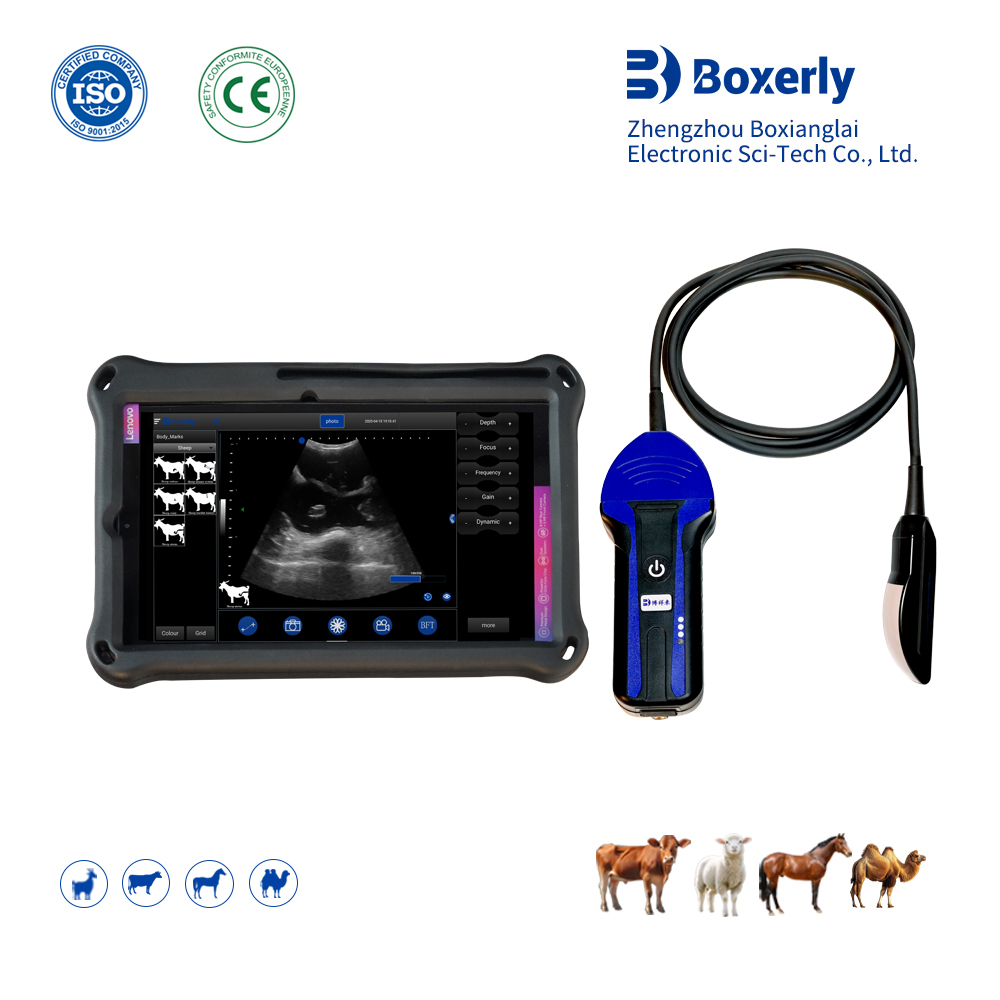 BXL-S104 Wireless Vet B-Ultrasound | Universal Probe | B/M Display | 30 Inspect Mode | Portable Scanner