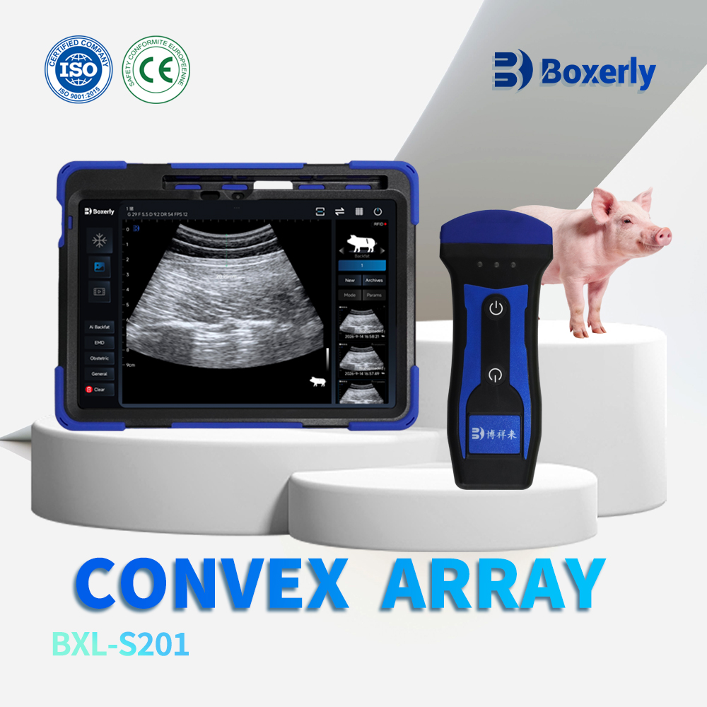 BXL-S201 Wireless Vet Doppler Ultrasound | Pig Sheep in Vitro Detect | Abdominal Convex Ultrasound Probe | Veterinary Scanner