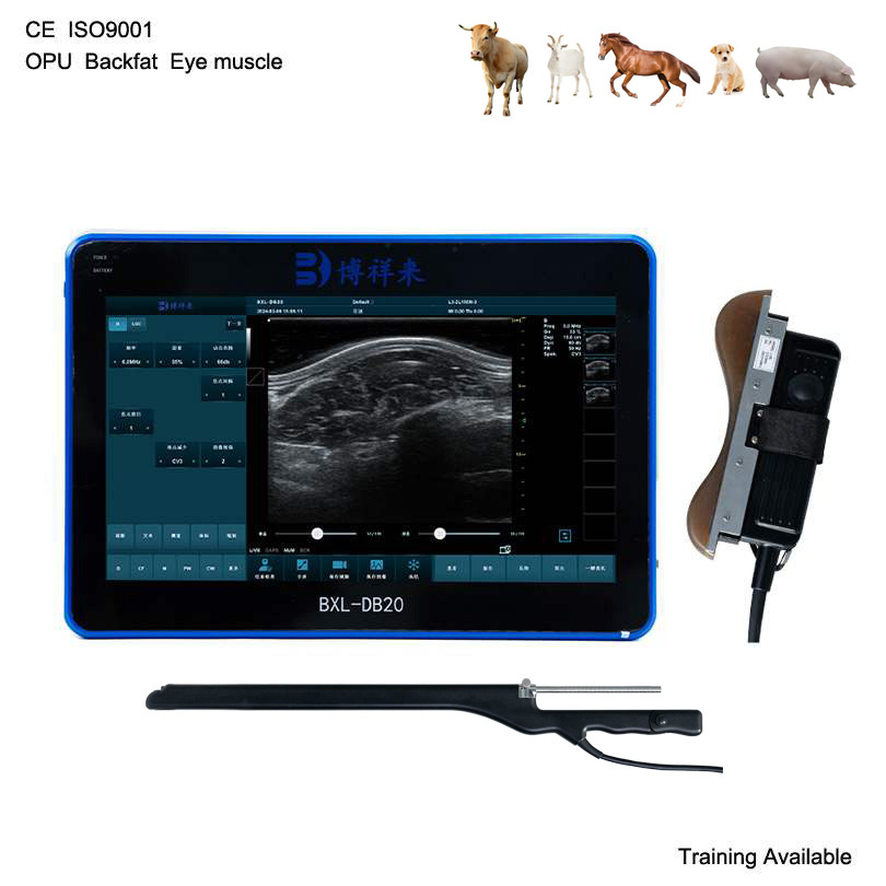 BXL-DB20 Veterinary OPU | Breeding-Specific Equipment | Backfat Eye Muscle Detect