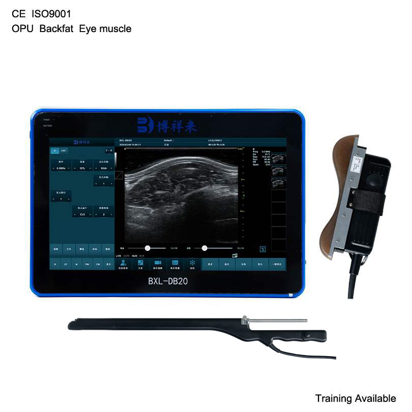 BXL-DB20 Veterinary OPU | Breeding-Specific Equipment | Backfat Eye Muscle Detect