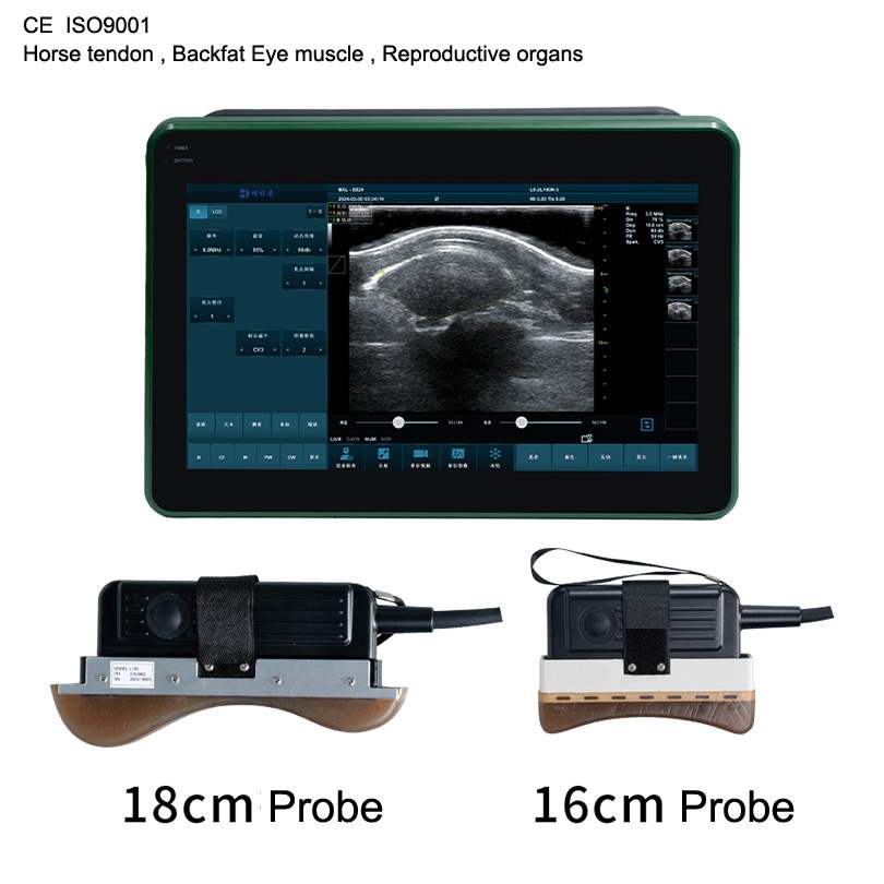BXL-DZ20 Multifunctional Livestock Backfat & Eye Muscle Ultrasound Scanner