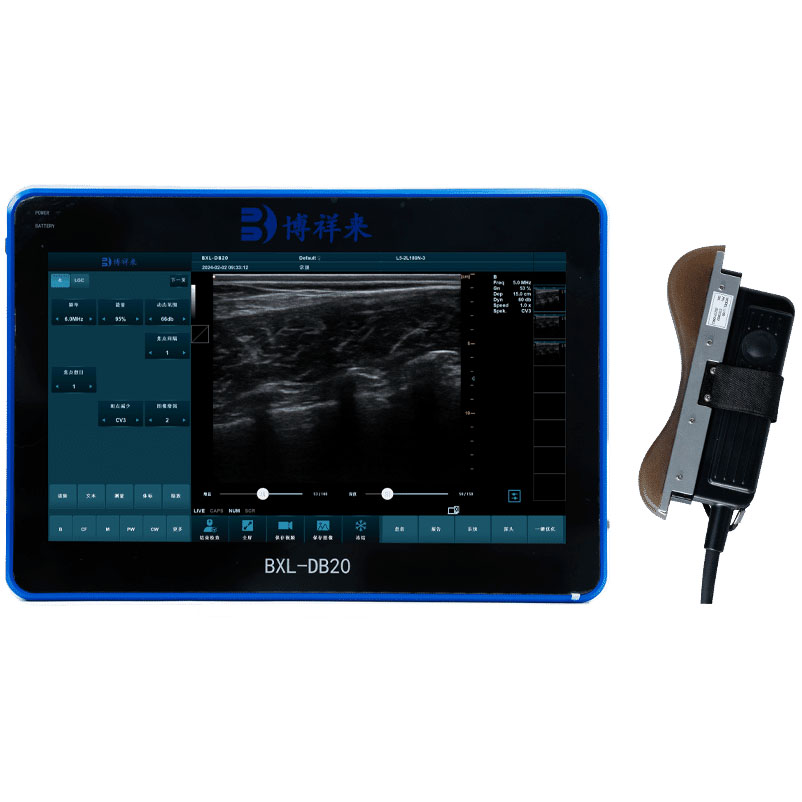 BXL-DB20 Pigs Cattle Sheeps Backfat Ultrasound Device | Breeding-Specific Equipment