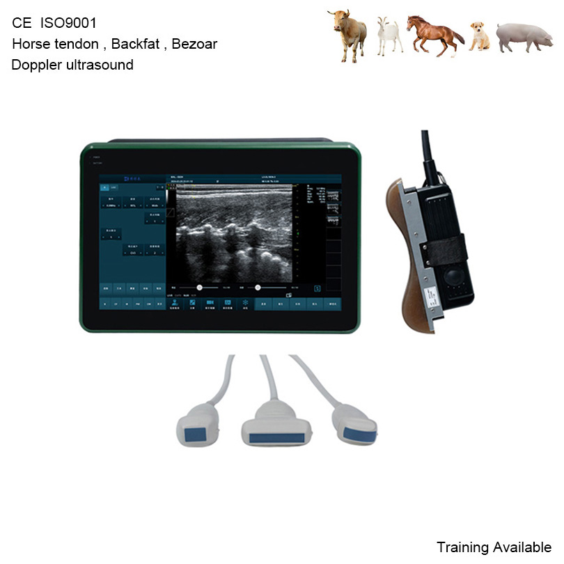 BXL-DZ20 Vet Doppler Ultrasound Scanner | Horse Equine Tendon | 15.6" Screen | Backfat Eye Muscle | Multiple Probes