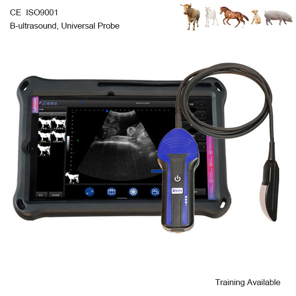 BXL-S104 Wireless Vet B-Ultrasound | Universal Probe | B/M Display | 30 Inspect Mode | Portable Scanner