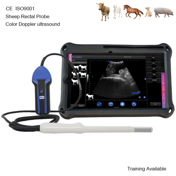 BXL-S203 Wireless Vet Doppler Ultrasound | Sheep Rectal Probe | HD Imaging IPX7 | Built-in Functions
