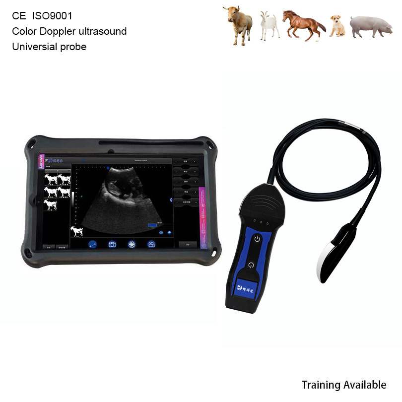BXL-S204 II Wireless Vet Doppler Ultrasound with Universal Probe | 30 Inspection Modes | IP67