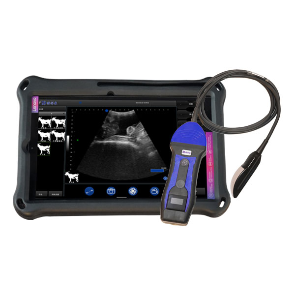 BXL-S204 Wireless Vet Color Doppler Ultrasound Universal for All Animals