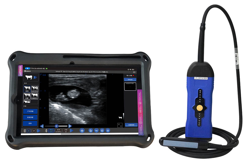 BXL-S300 Doppler Cattle & Horse Pregnancy Scanner, 128-Probe, S200 Upgrade