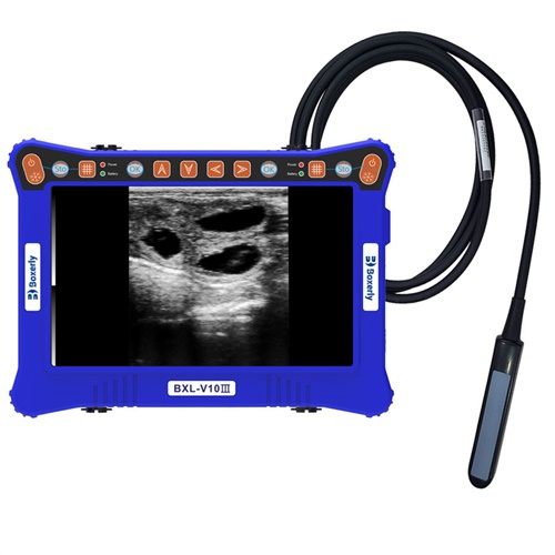 Precio del instrumento de ultrasonido veterinario para animales de granja
