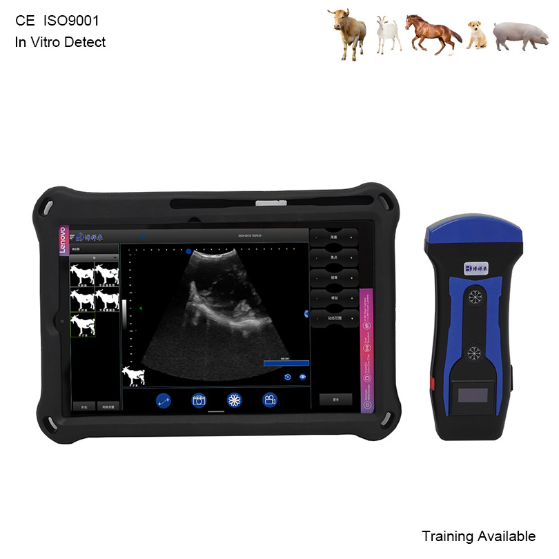 BXL-S201 Wireless Vet Doppler Ultrasound | Pig Sheep in Vitro Detect | Abdominal Convex Ultrasound Probe | Veterinary Scanner